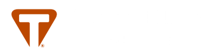 Traveler Guitar Logo